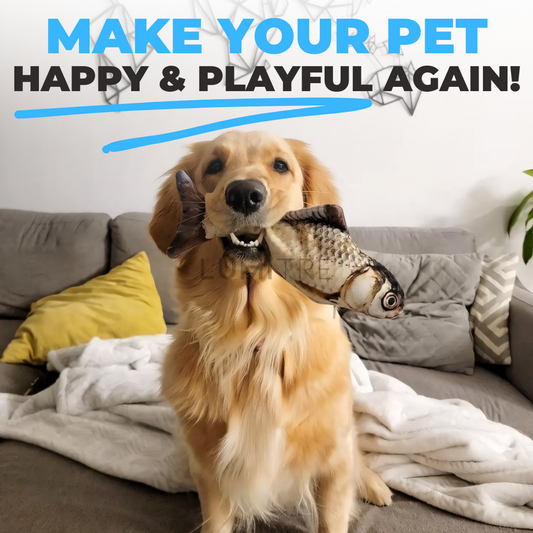 FishFlop™: Endless Fun Entertainment for Your Pet