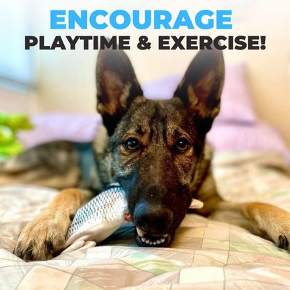 FishFlop™: Endless Fun Entertainment for Your Pet