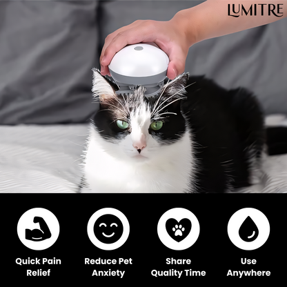 PawRelief™: Ultimate Comfort and Relaxation for Your Pet